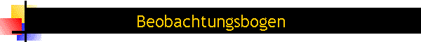 Beobachtungsbogen